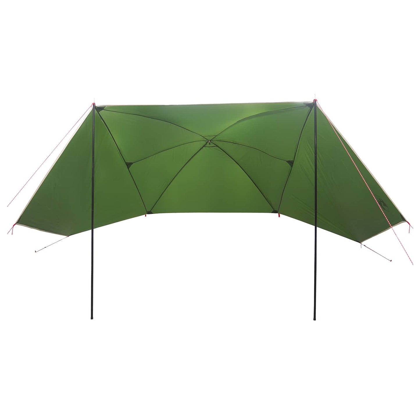 Car Tent with Roof Green 308 x 215 x 220 cm Polyester and Steel
