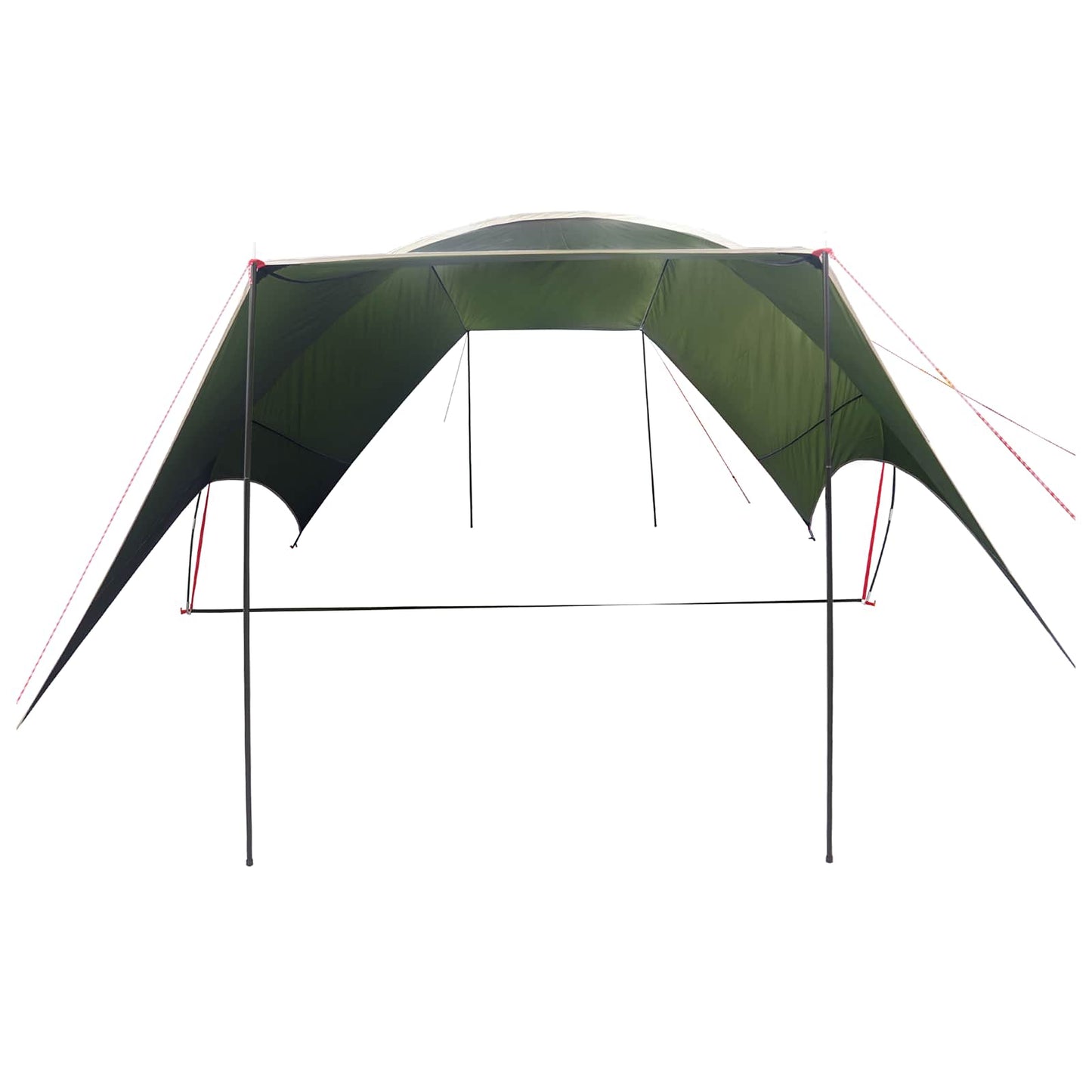 Camping Tarp Water-resistant Army Green 550 x 400 x 230 cm