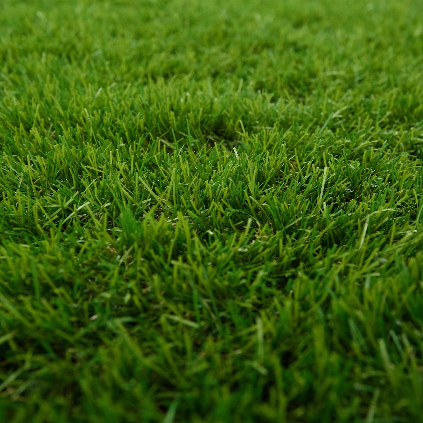 Artificial Grass PP & PE