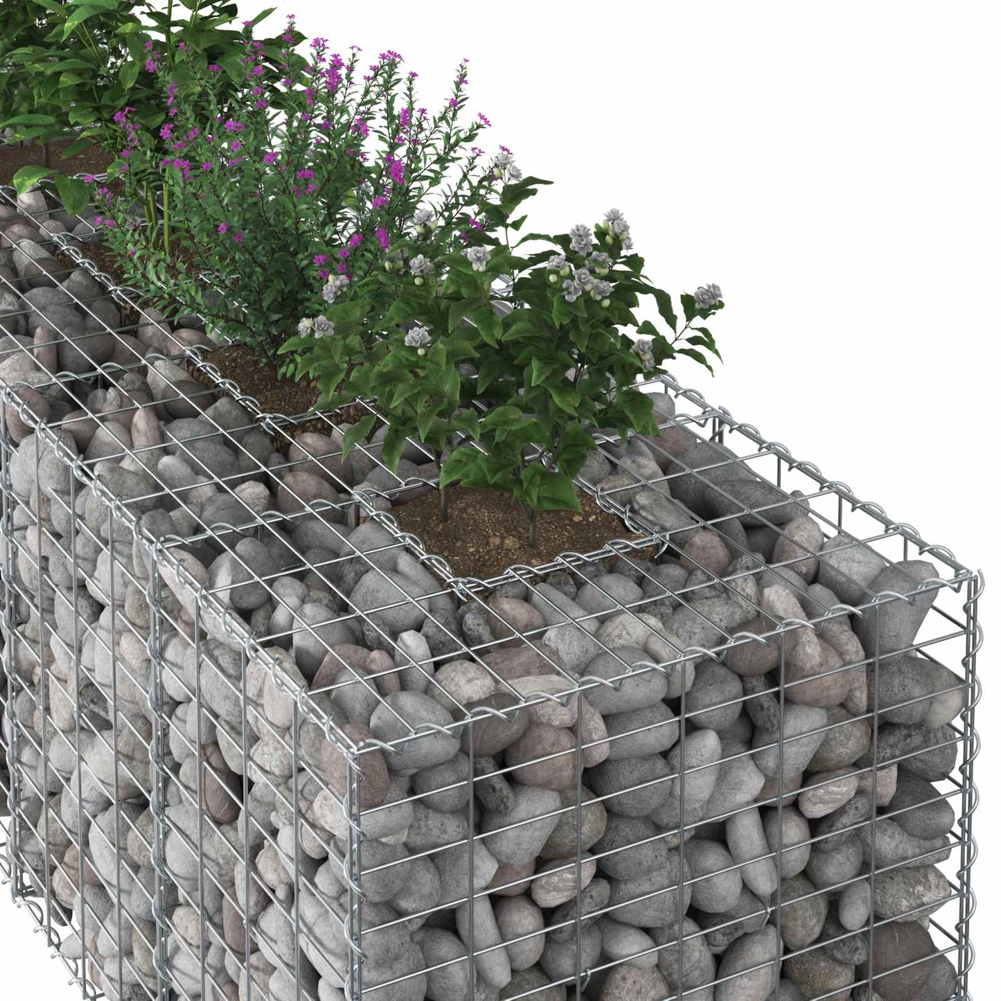 Gabion Raised Bed 2 pcs Silver 260 x 60 x 55 cm
