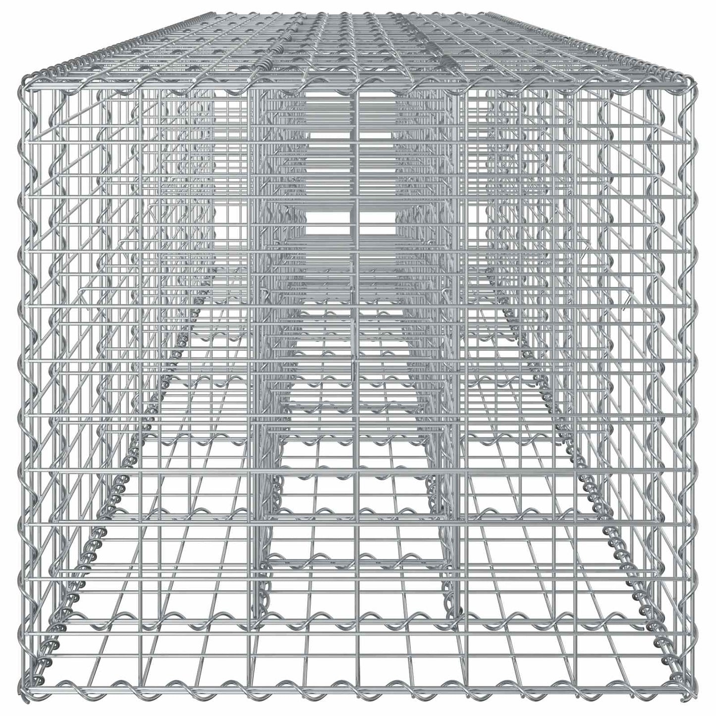 Gabion Raised Bed 2 pcs Silver 260 x 60 x 55 cm
