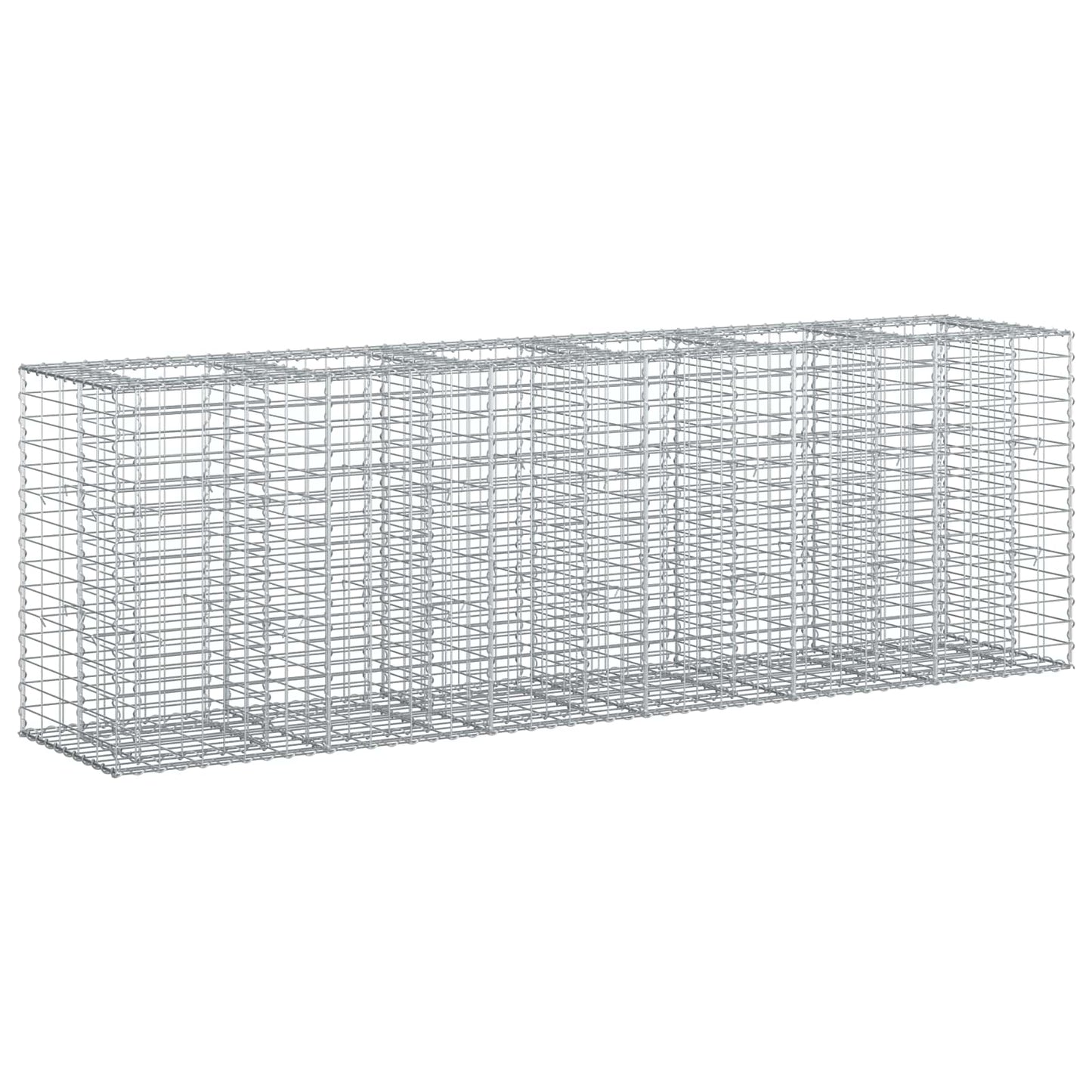 Gabion Raised Bed 2 pcs Silver 250 x 50 x 80 cm