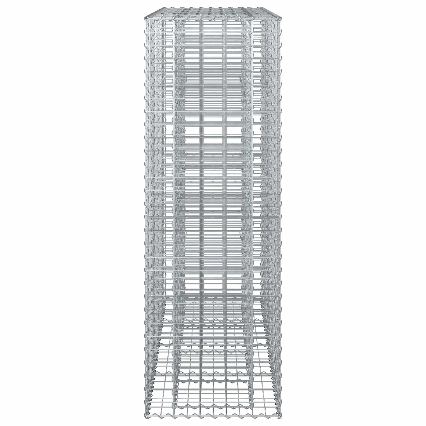 Gabion Raised Bed 2 pcs Silver 170 x 50 x 150 cm