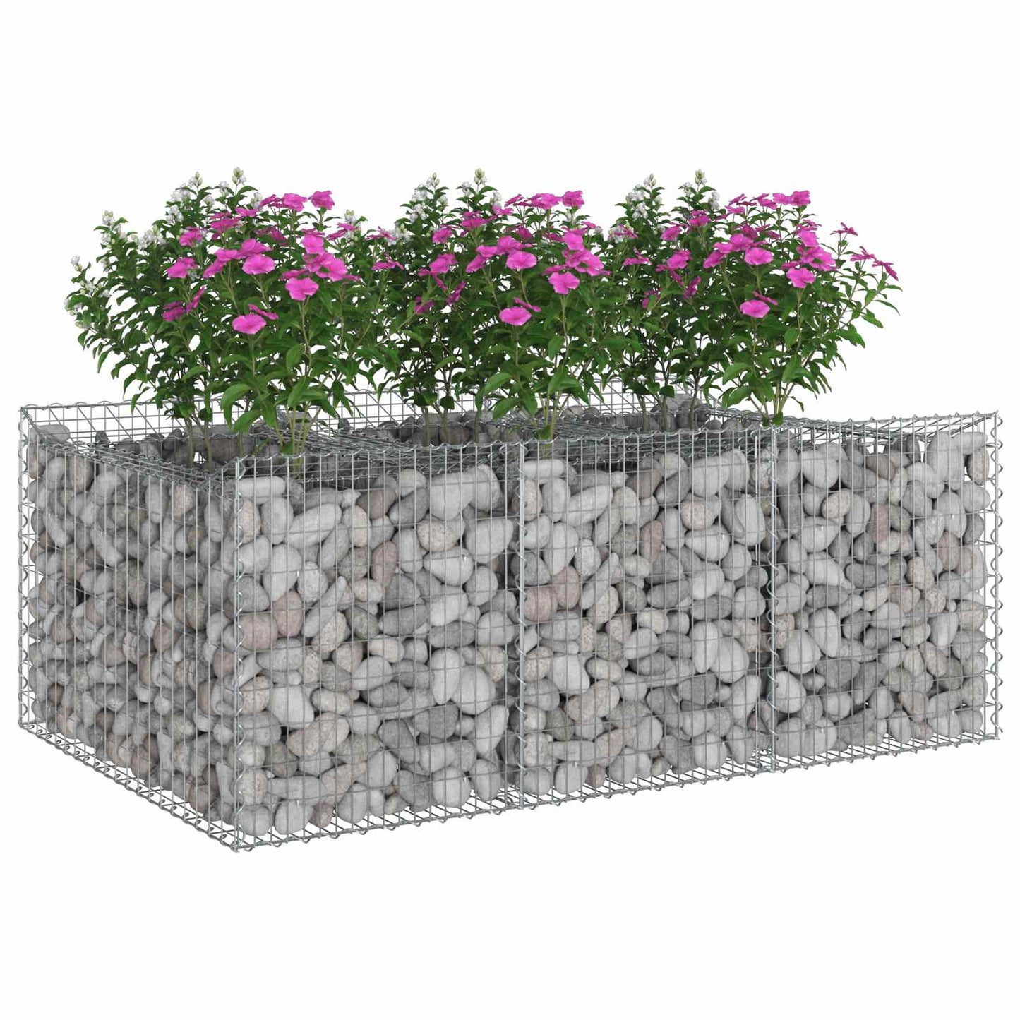 Gabion Raised Bed Silver