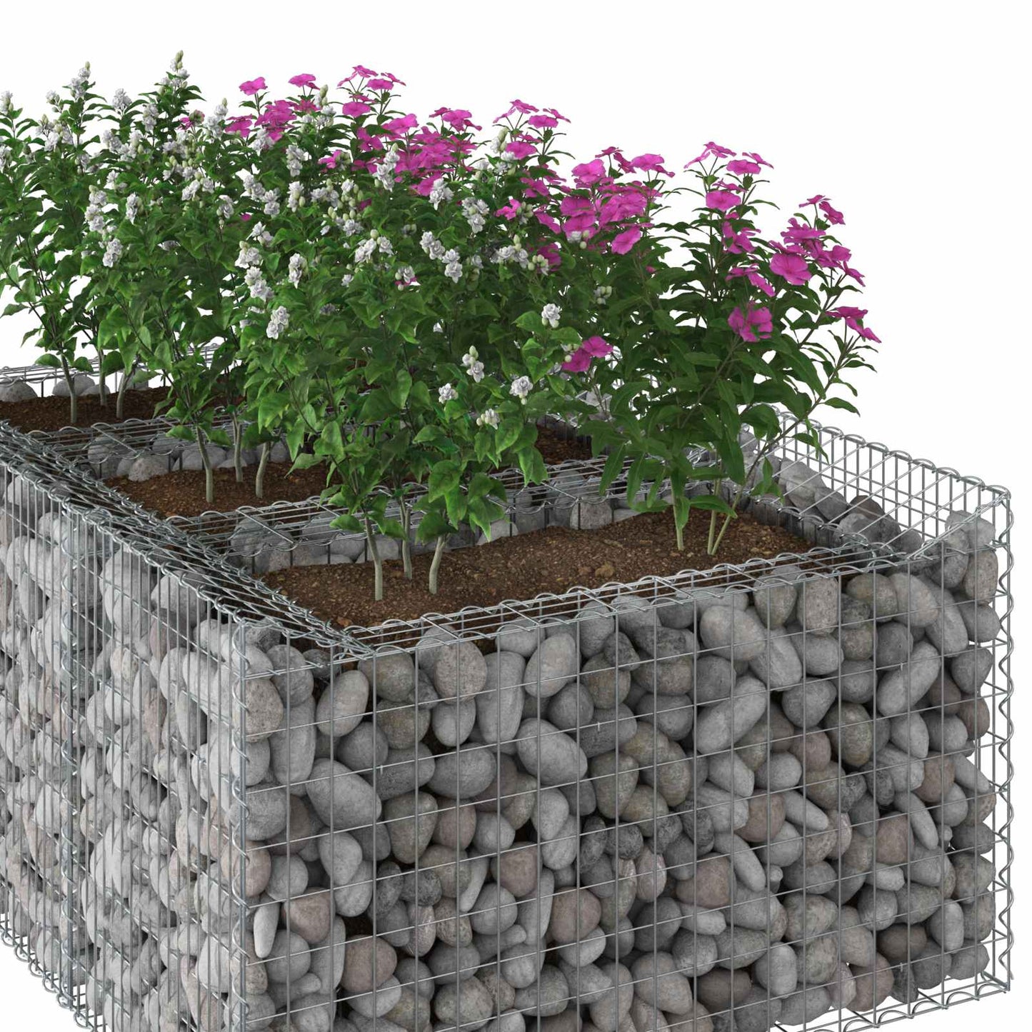 Gabion Raised Bed Silver