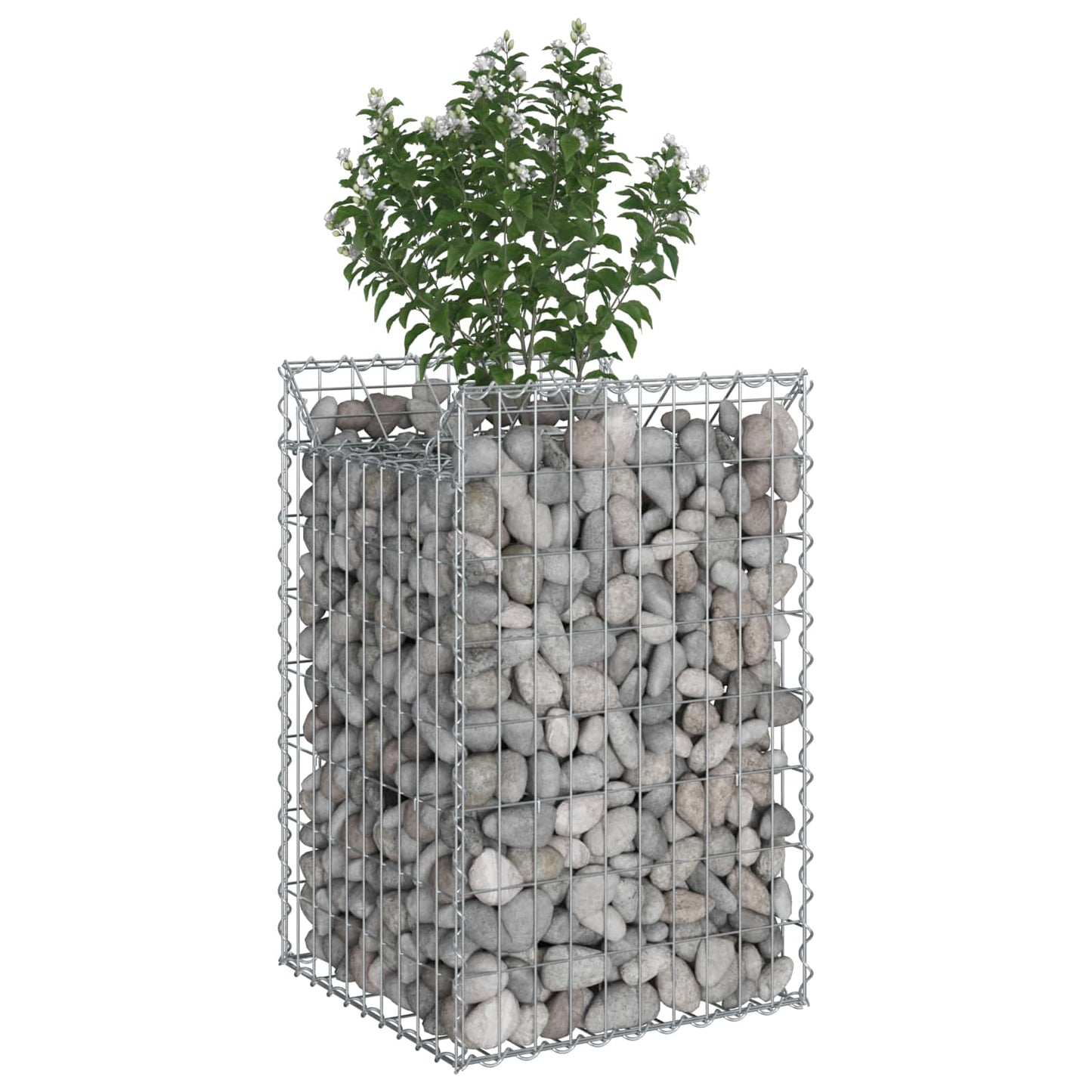 Gabion Raised Bed Silver
