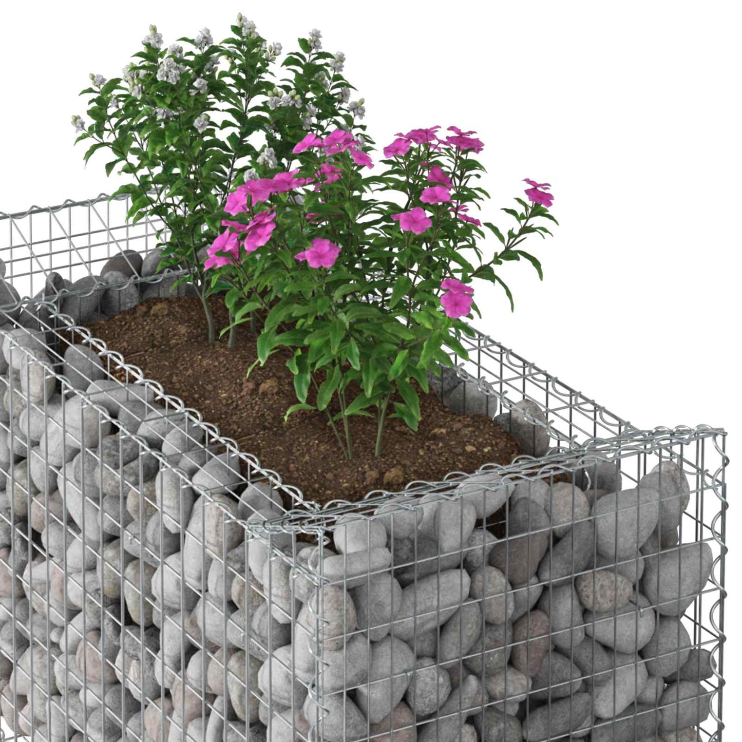 Gabion Raised Bed Silver
