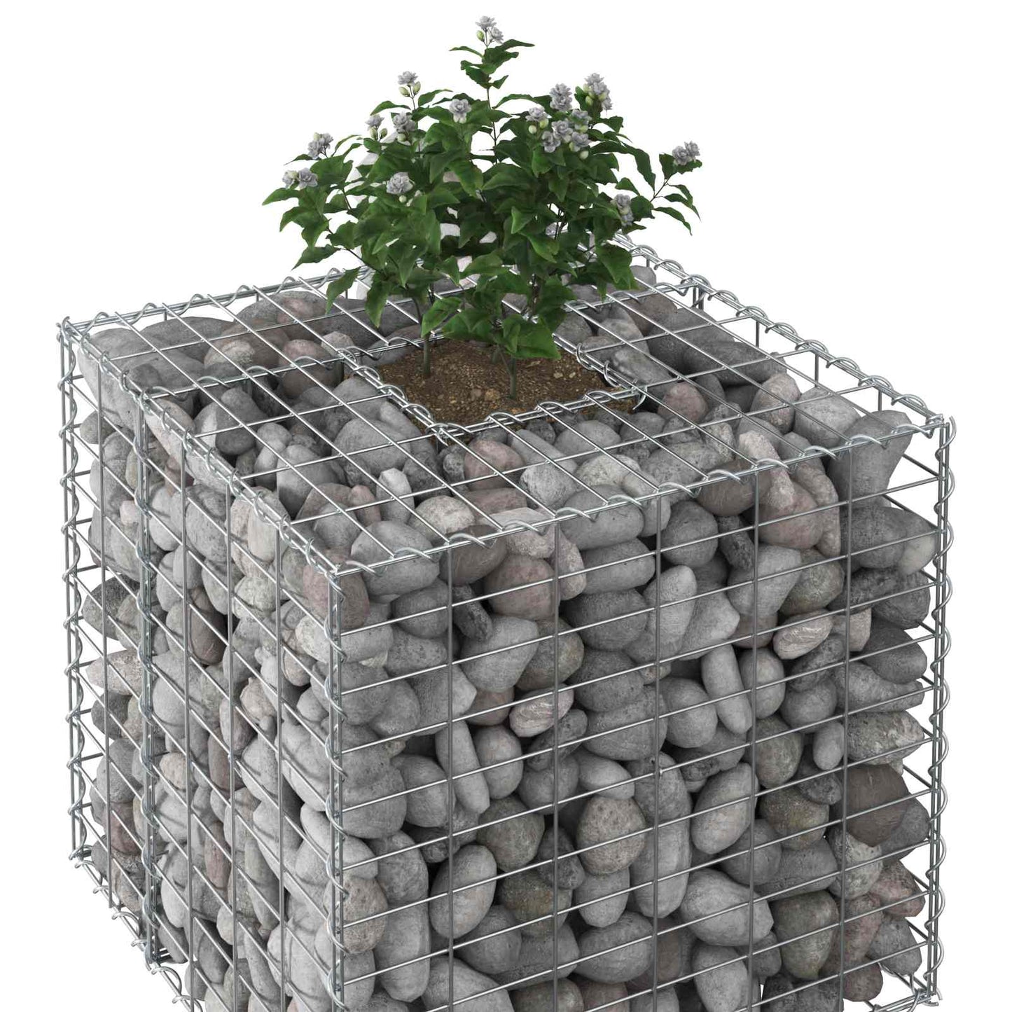 Gabion Raised Bed Silver