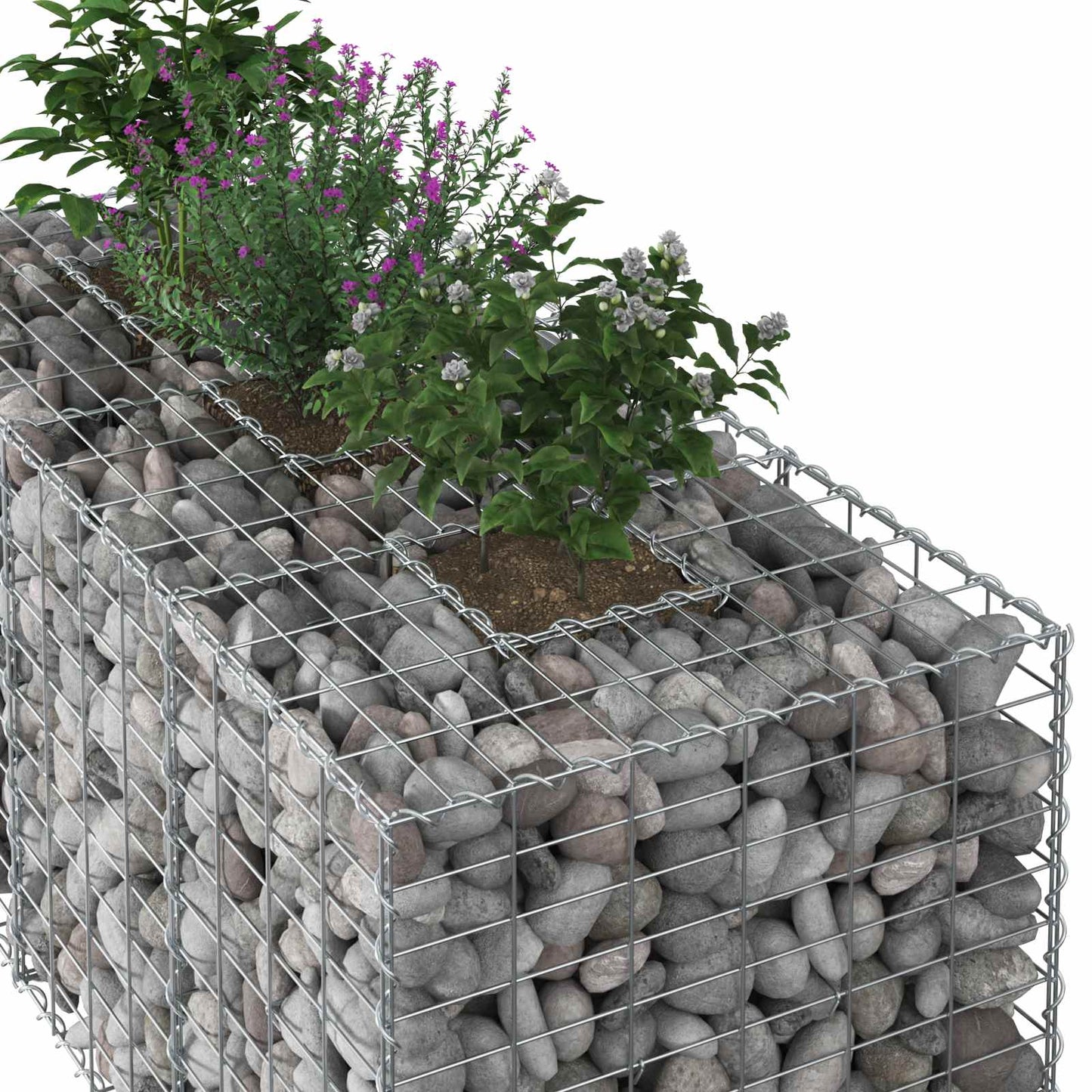 Gabion Raised Bed Silver