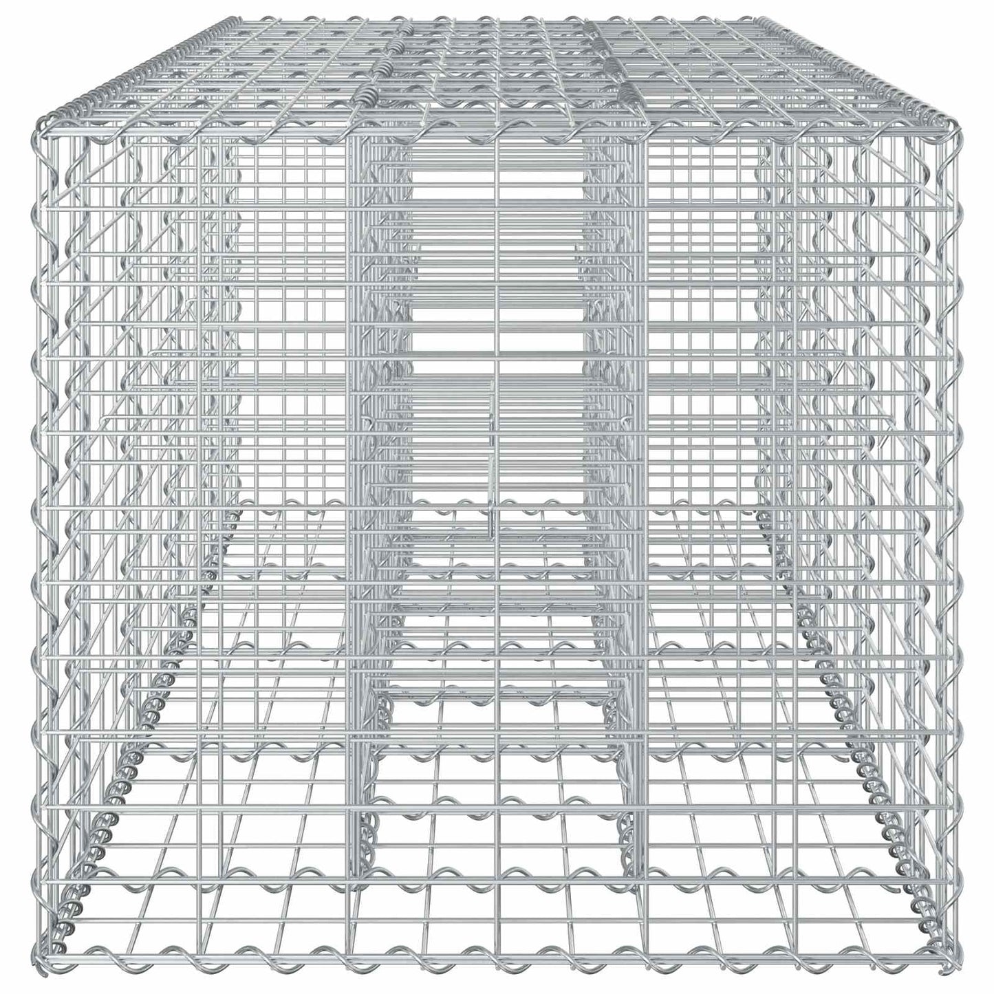 Gabion Raised Bed Silver