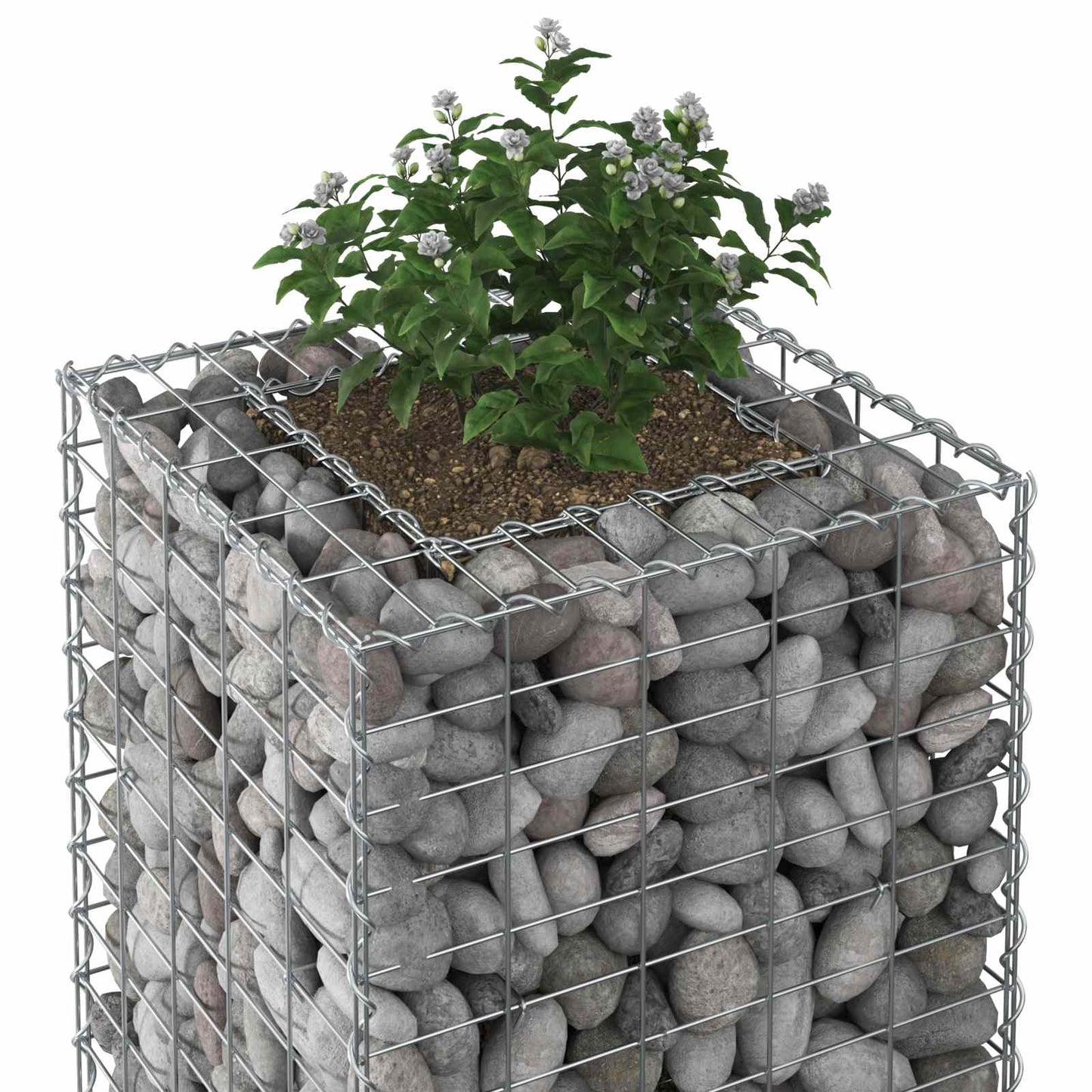 Gabion Raised Bed Silver
