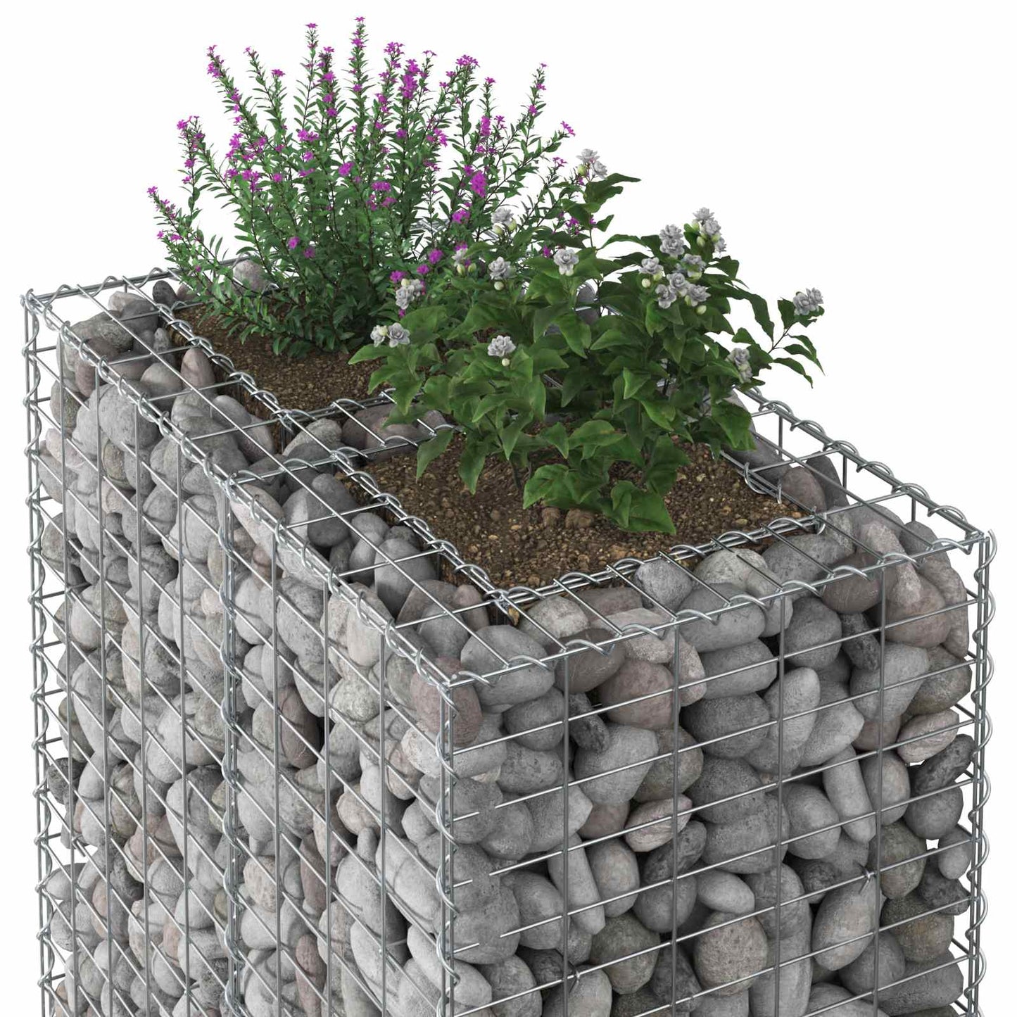 Gabion Raised Bed Silver