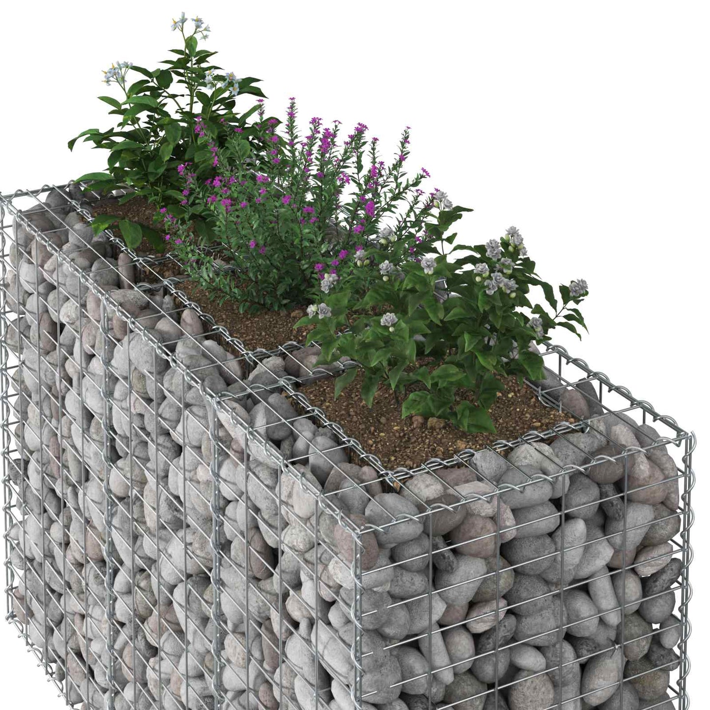 Gabion Raised Bed Silver