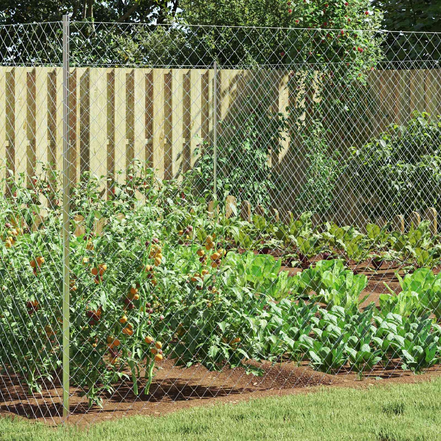 Chain Link Fence Galvanised 2 x 10 m Glass