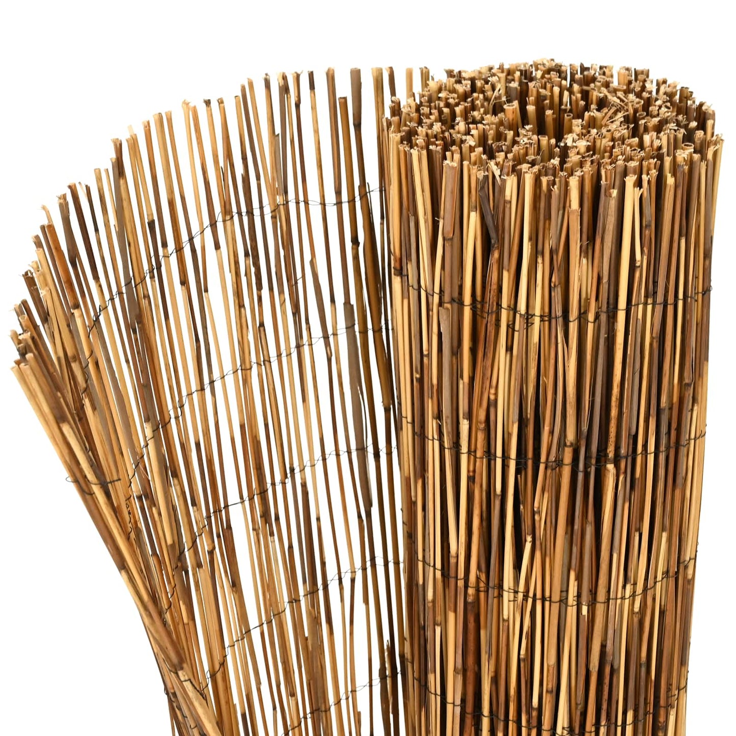 Garden Fence Carbonized 600 x 90 cm Reed
