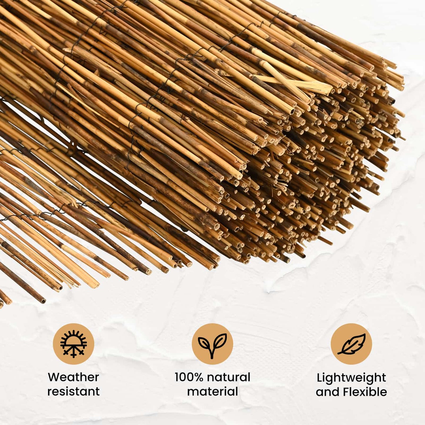 Garden Fence Carbonized 600 x 90 cm Reed