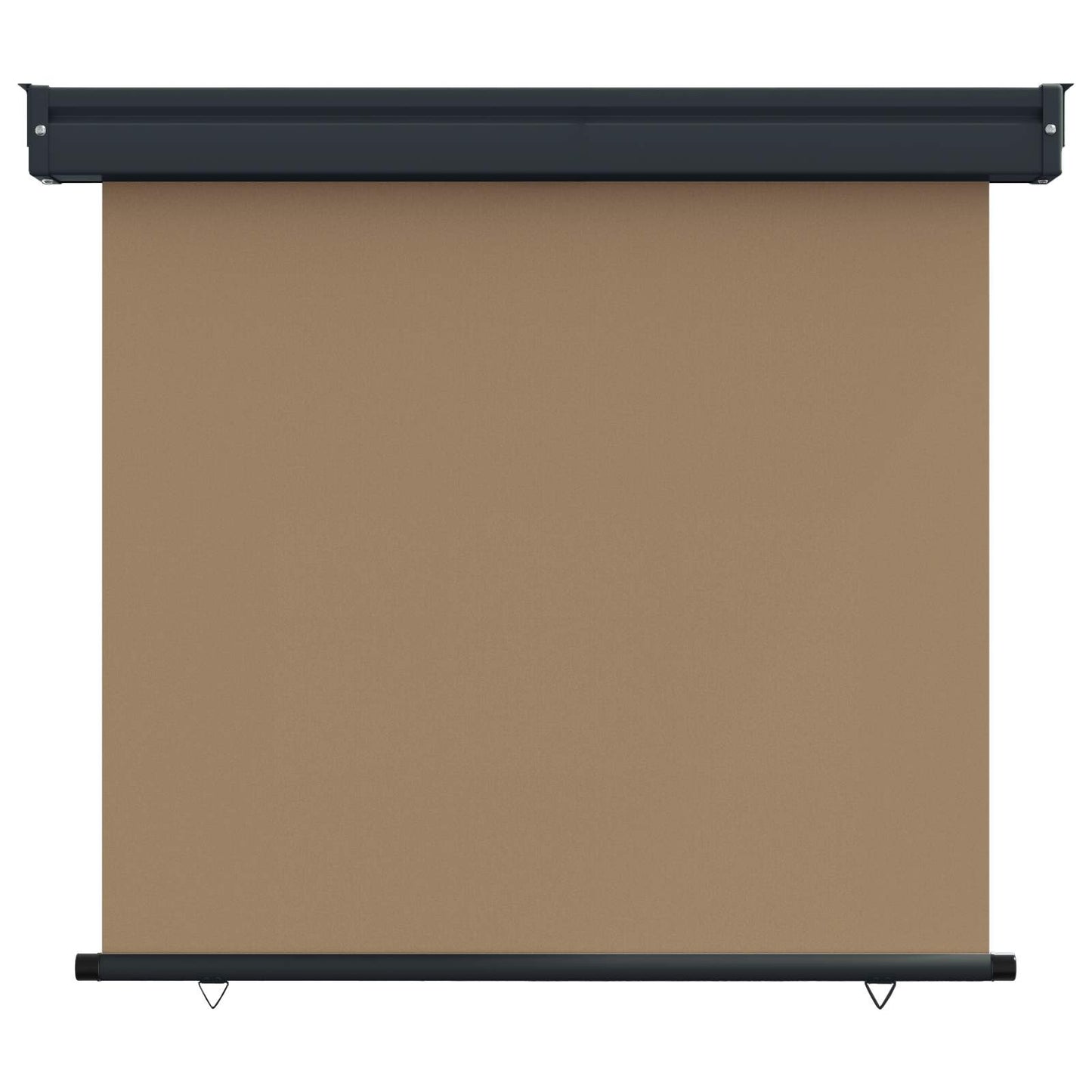 Balcony Side Awning 60 x 250 cm 100% polyester iron steel Taupe