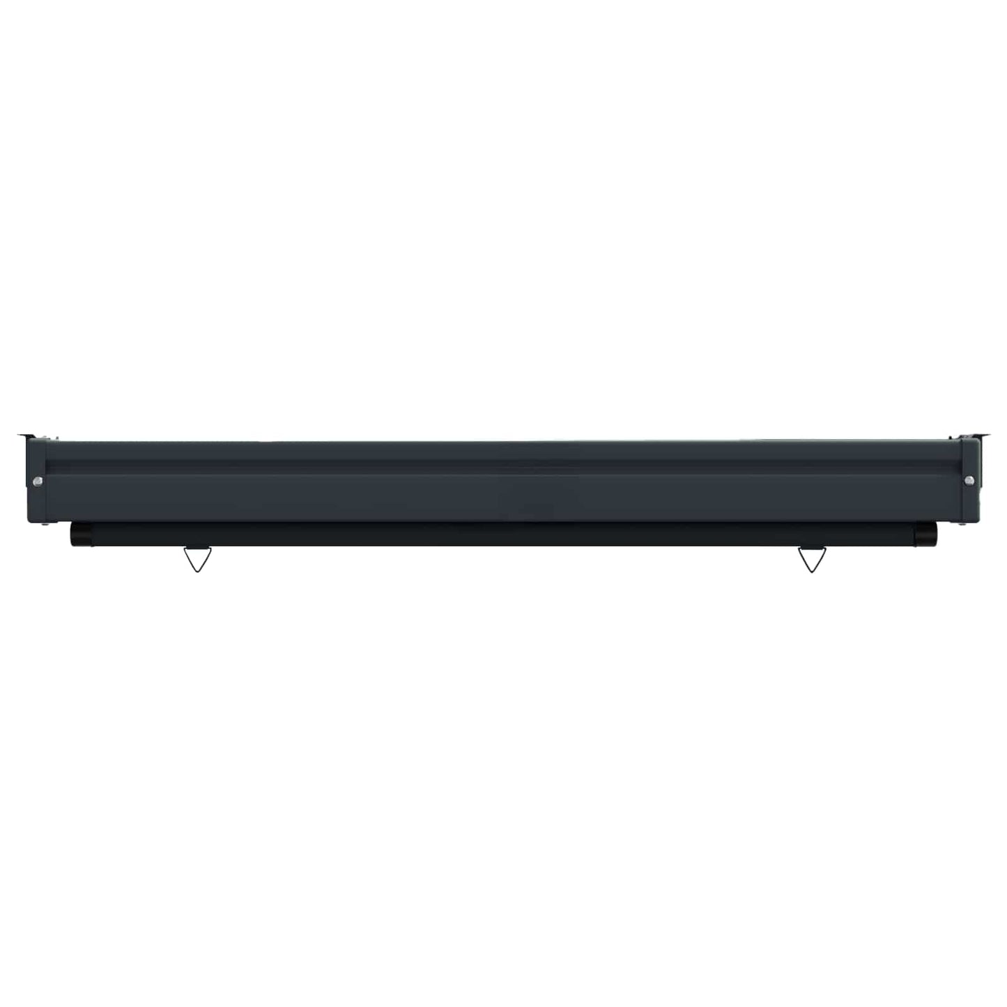 Balcony Side Awning 100 x 250 cm 100% polyester iron steel