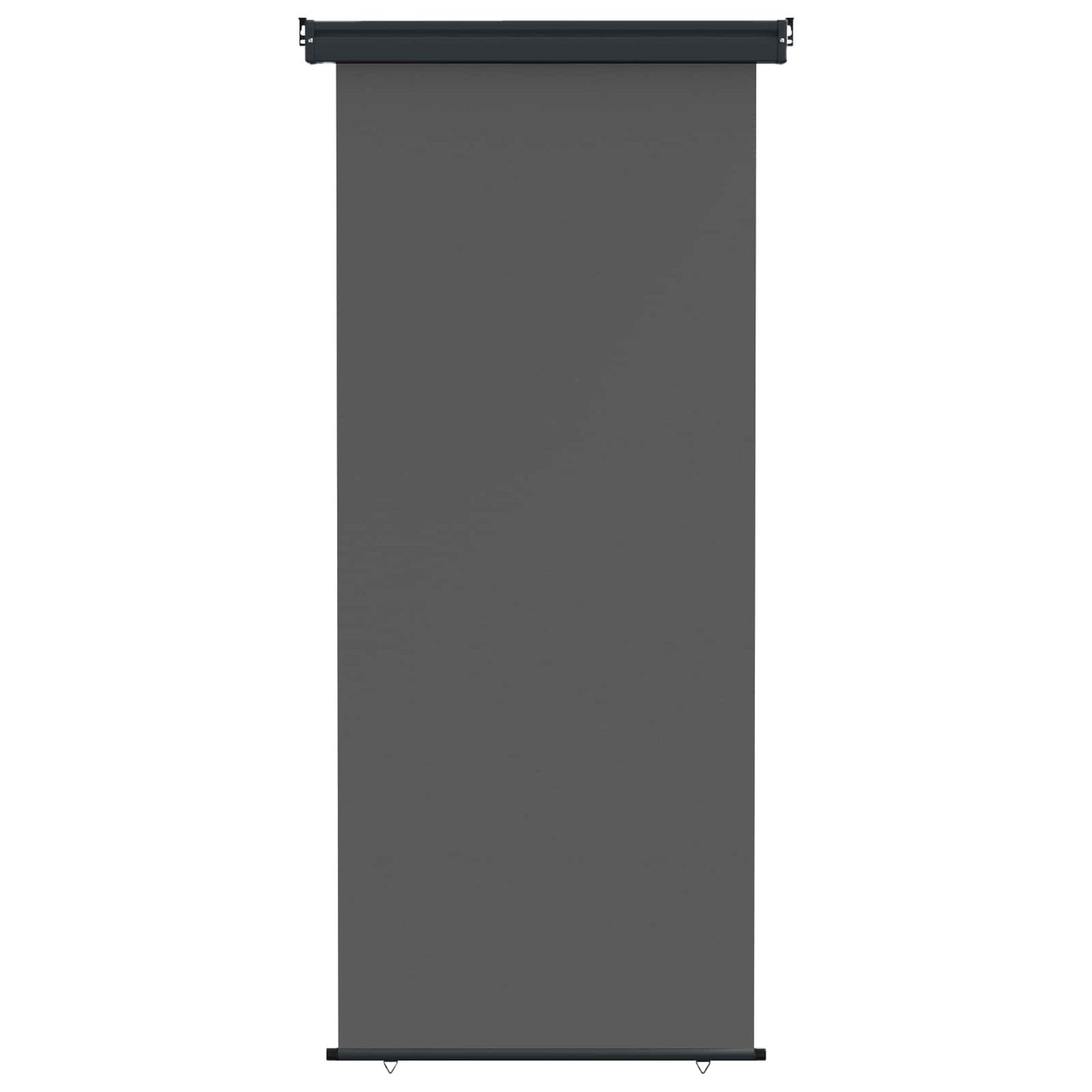 Balcony Side Awning 100 x 250 cm 100% polyester iron steel