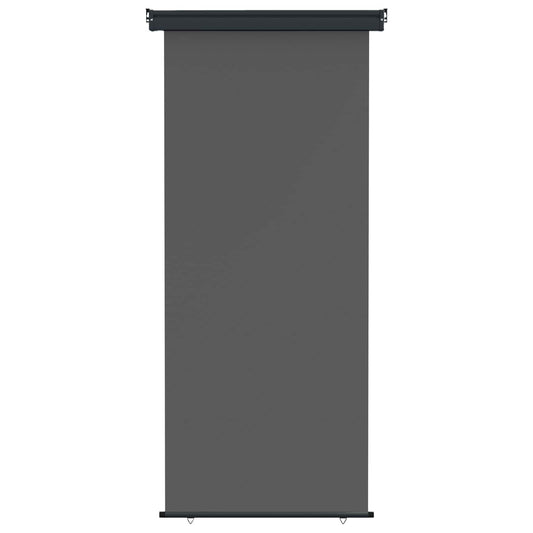 Balcony Side Awning 100 x 250 cm 100% polyester iron steel