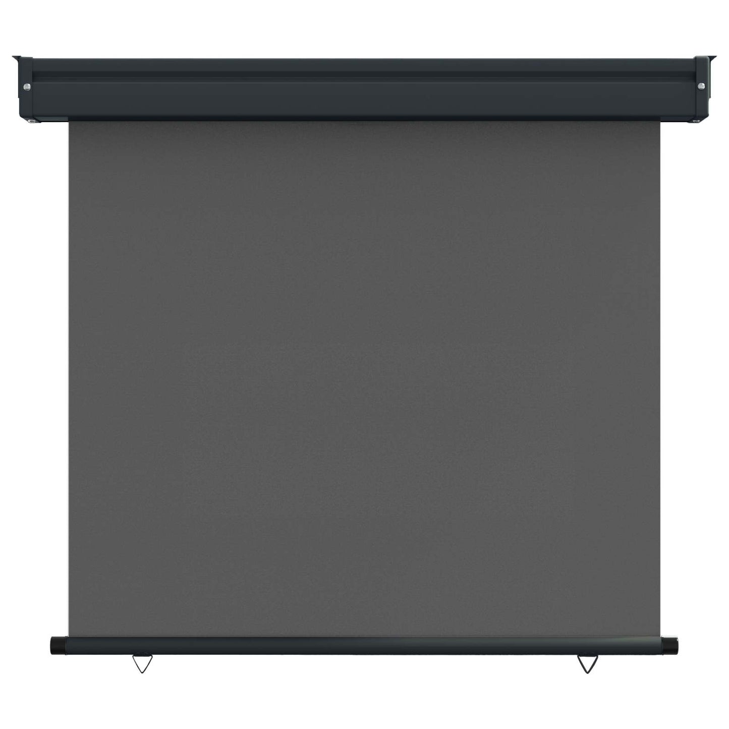 Balcony Side Awning 100 x 250 cm 100% polyester iron steel