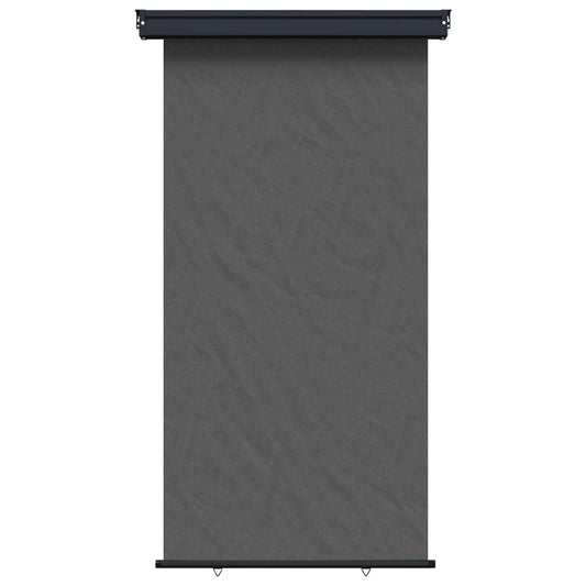 Balcony Side Awning 117 x 250 cm 100% polyester iron steel