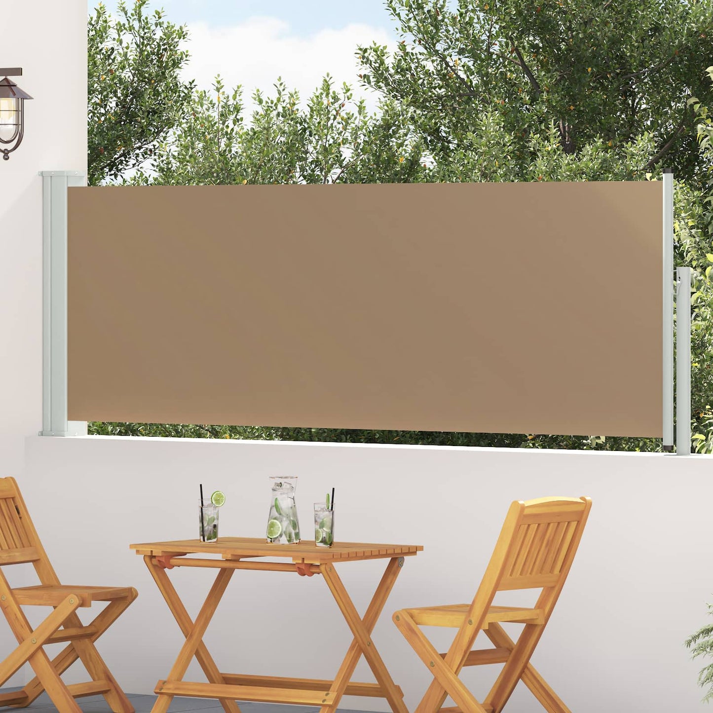 Retractable Side Awning 500 x 100 cm Polyester Rectangular