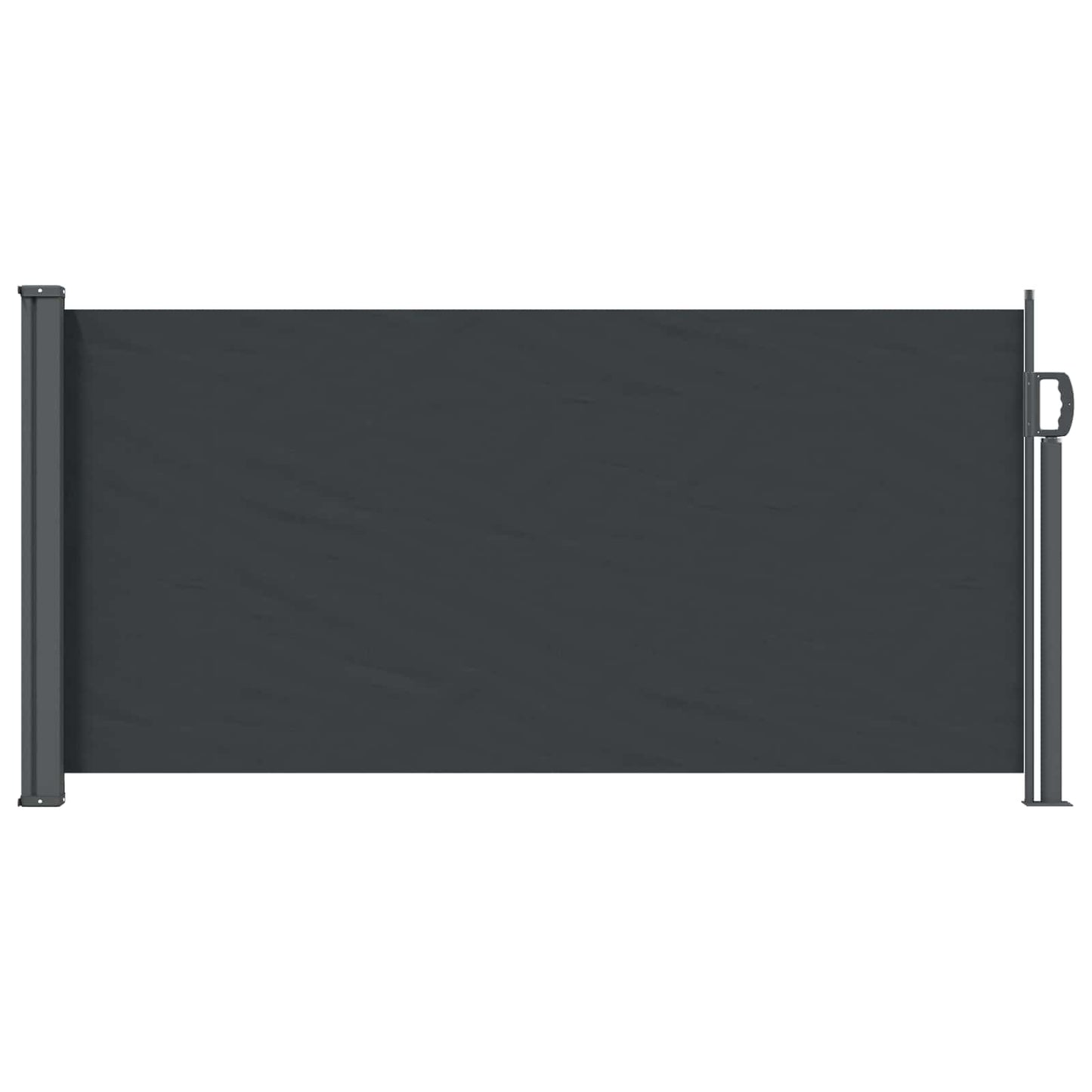 Retractable Side Awning Black 300 x 100 cm Polyester