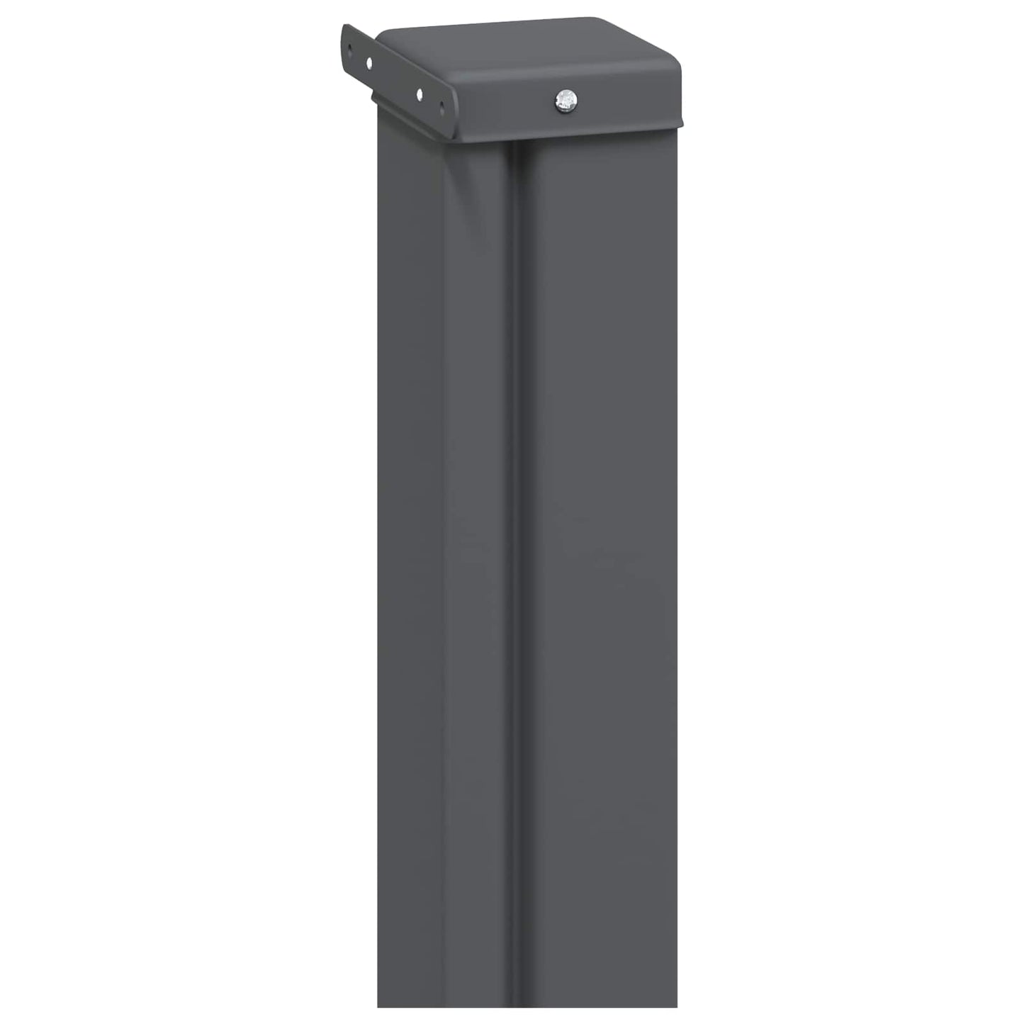 Retractable Side Awning 120 x 300 cm 100% polyester iron steel