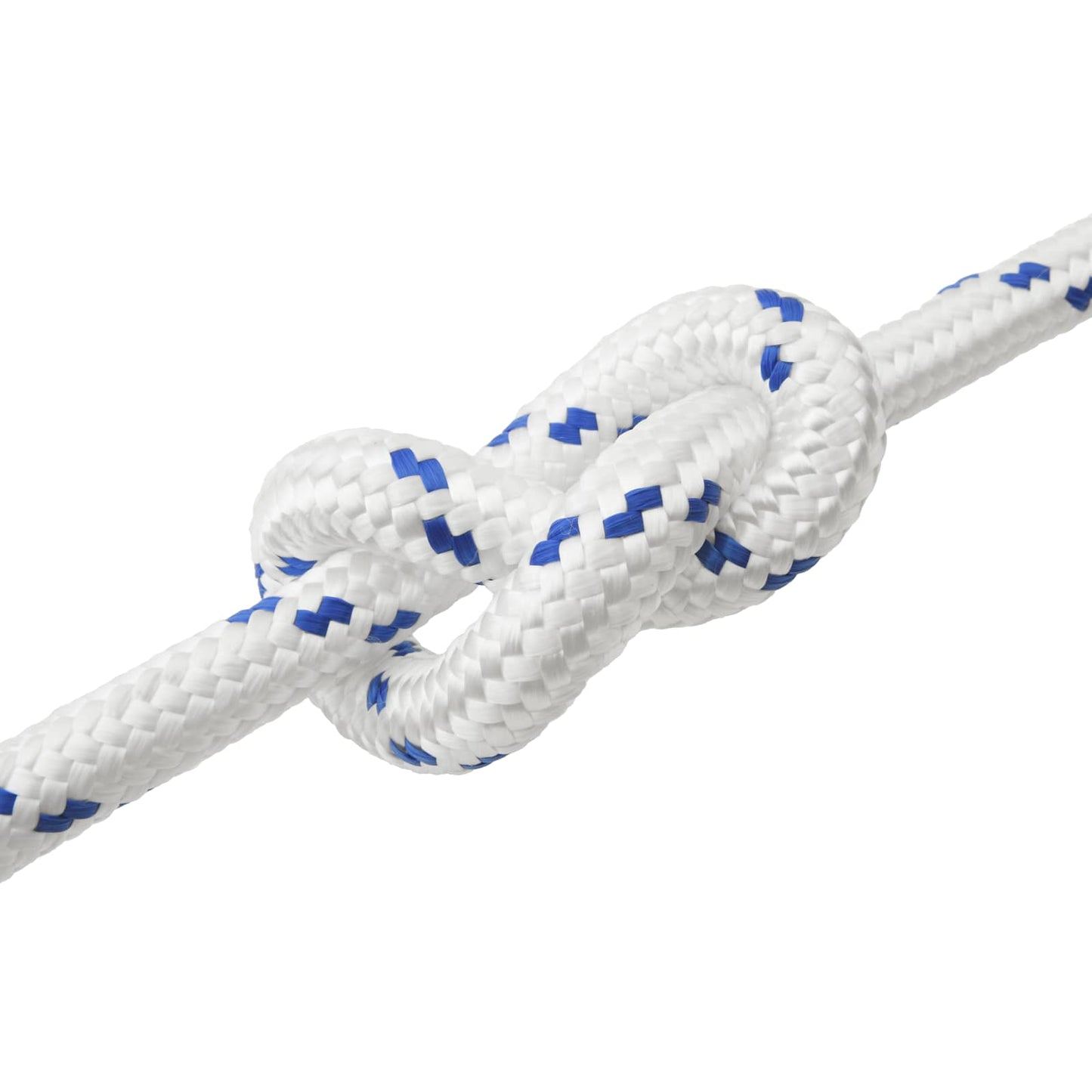 Boat Rope 5 m 3 White and Blue PP