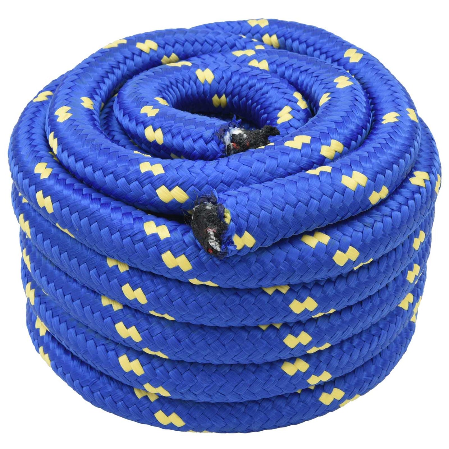 Boat Rope 25 m 3 Blue PP