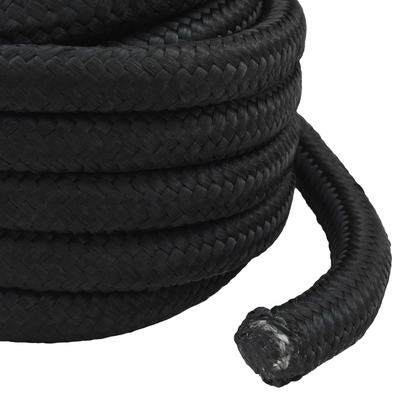 Boat Rope 10 m 3 Black PP