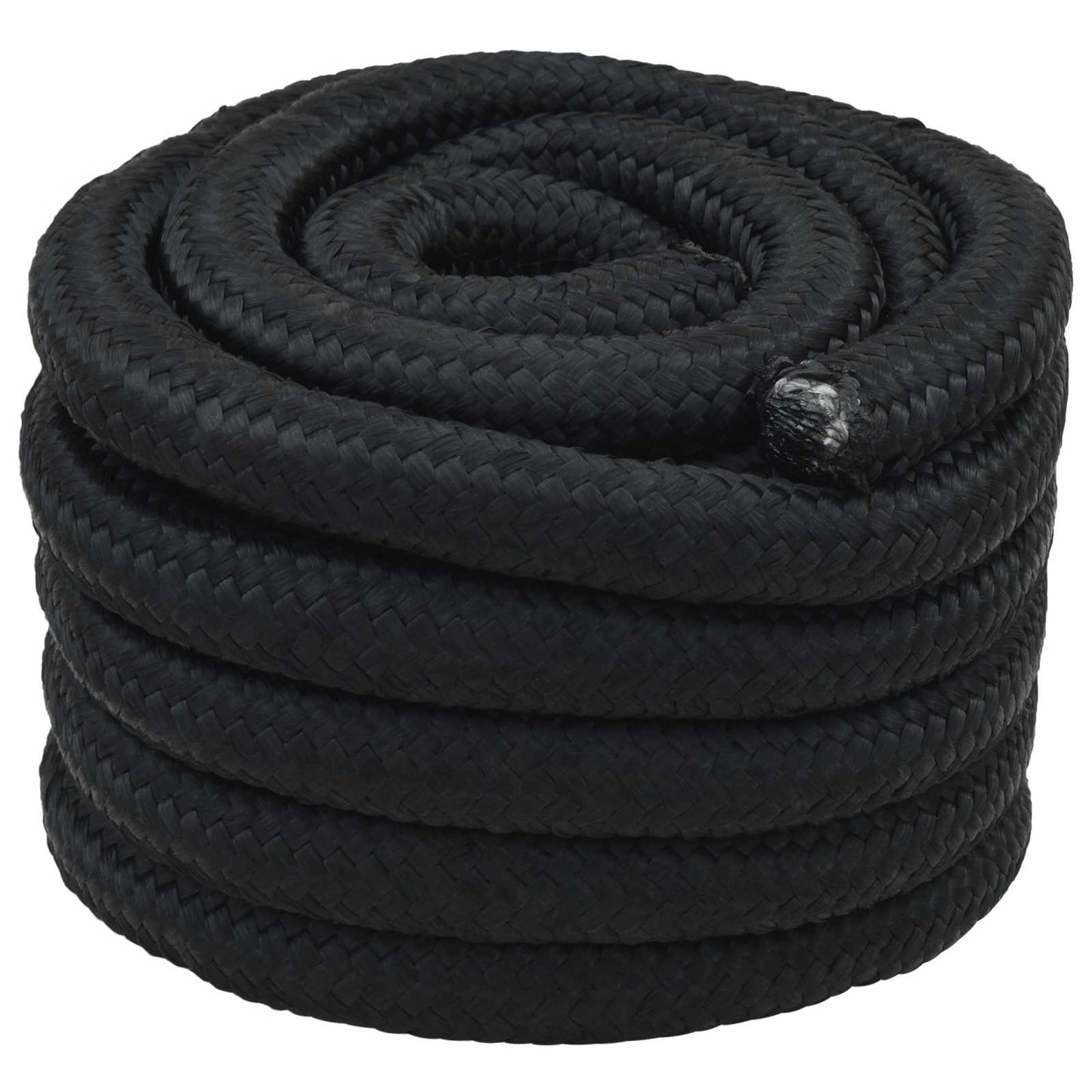 Boat Rope 10 m 3 Black PP