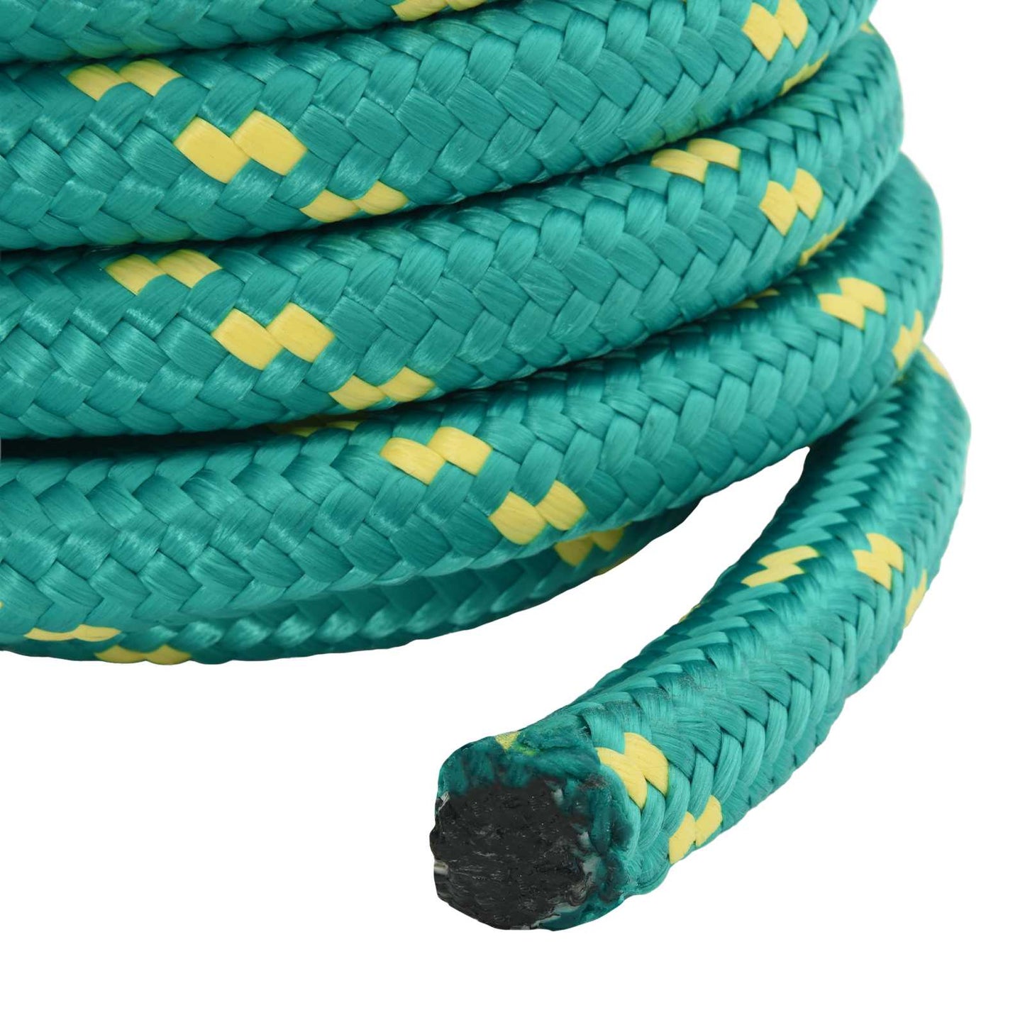 Boat Rope 25 m 3 Green PP