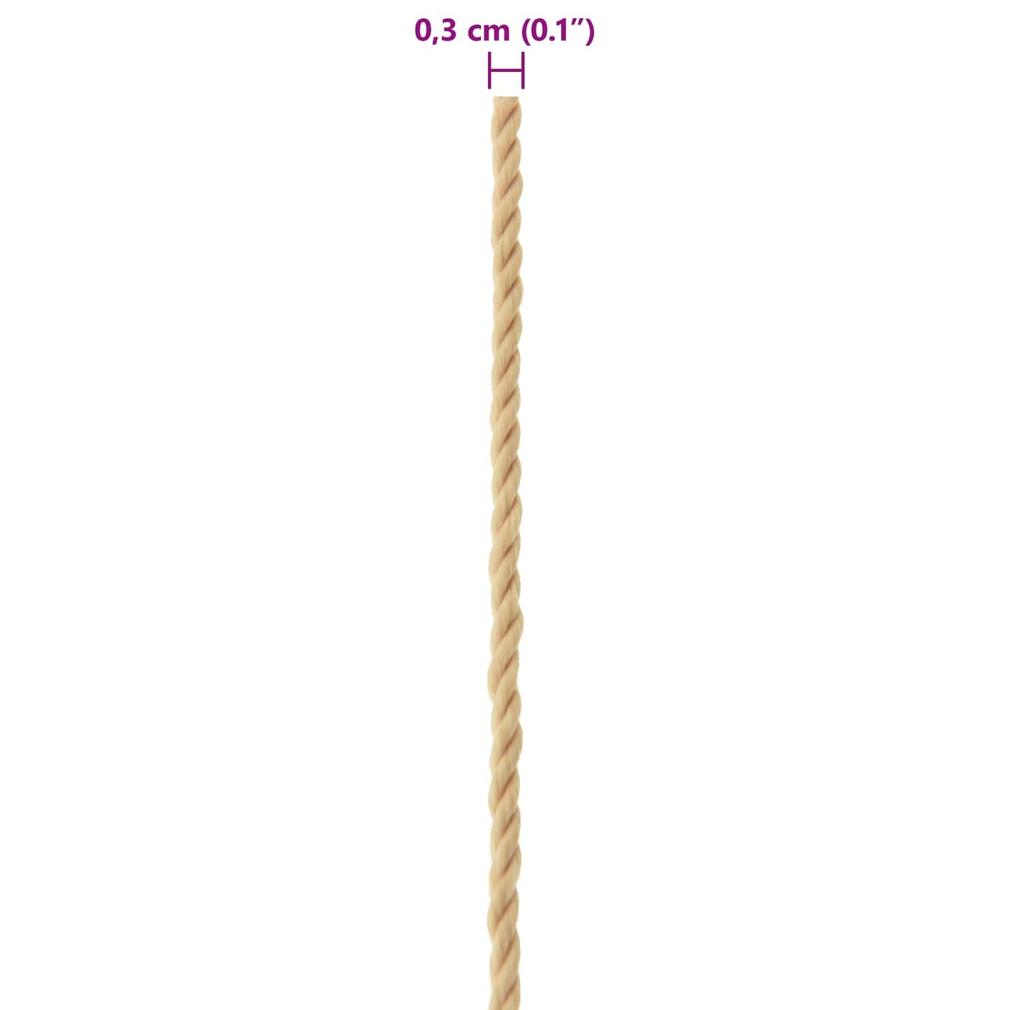 Boat Rope 100 m 0.3 Natural PP