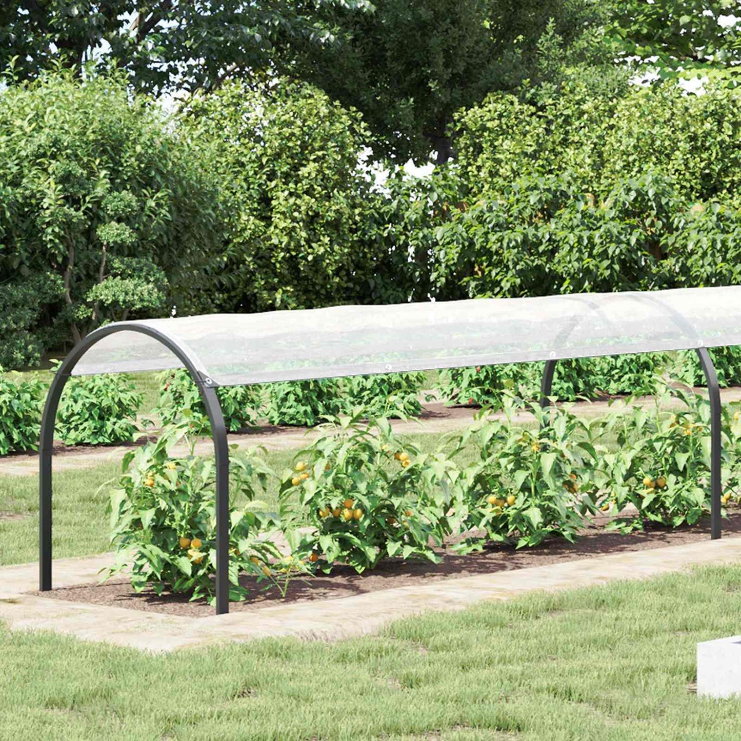 Tarpaulin with Eyelets Transparent 10 x 1.5 m Polyethylene