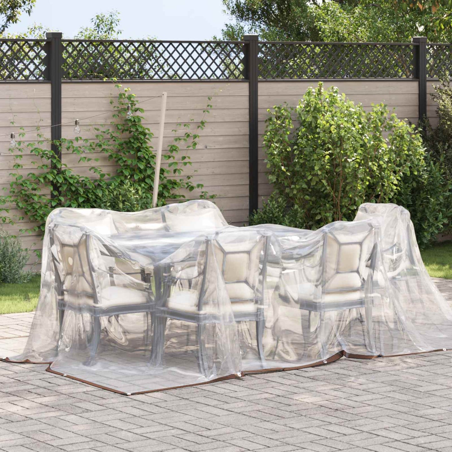 Plant Cover Transparent 2 x 2 m PE