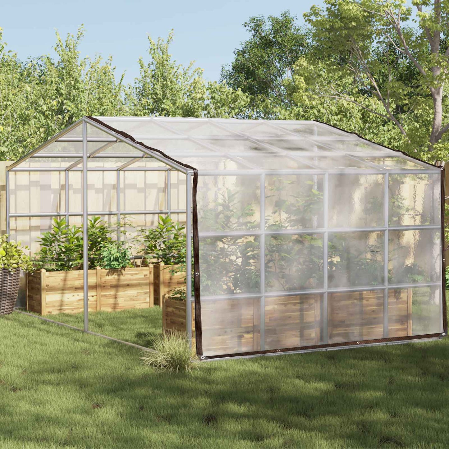 Plant Cover Transparent 3 x 12 m PE
