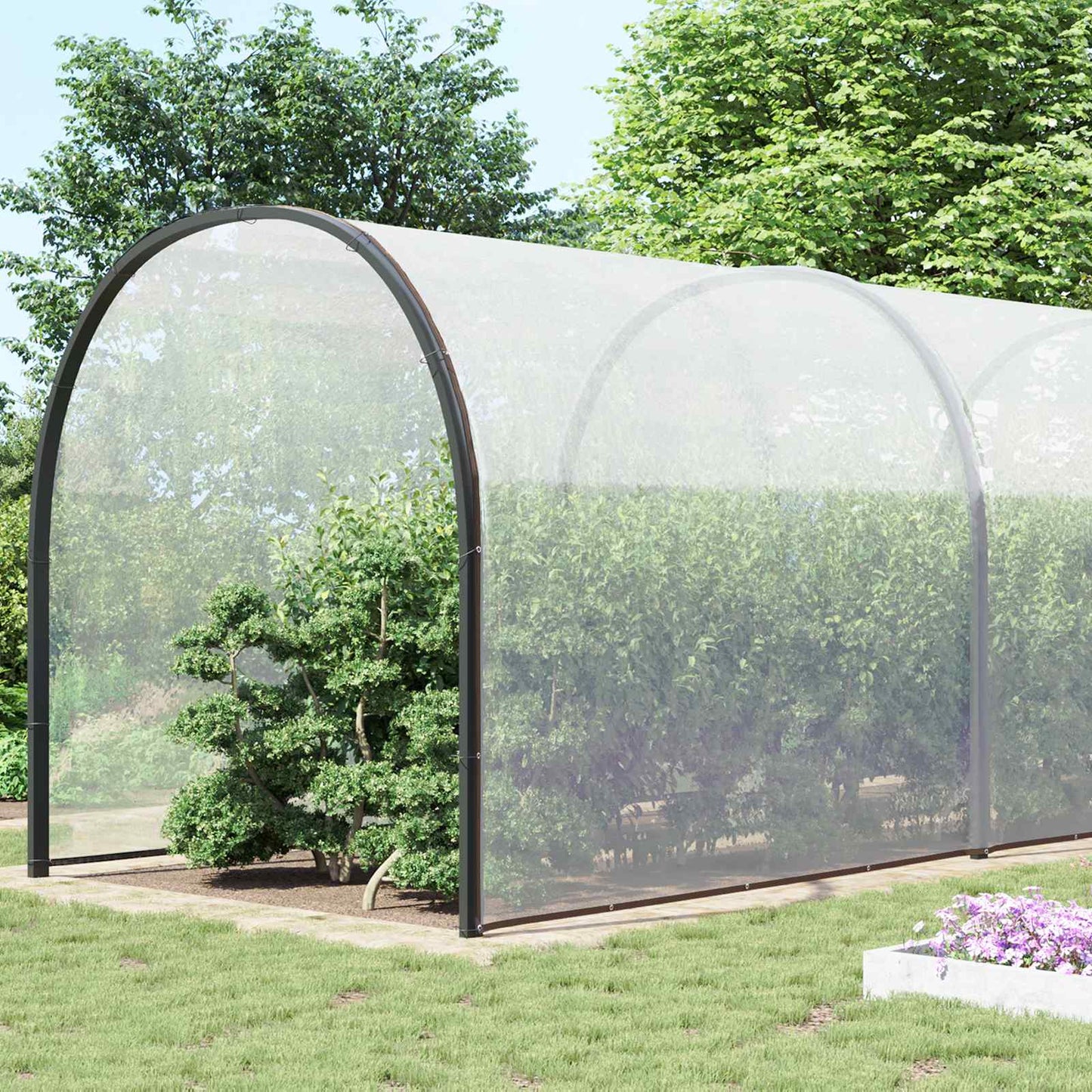 Plant Cover Transparent 10 x 12 m PE
