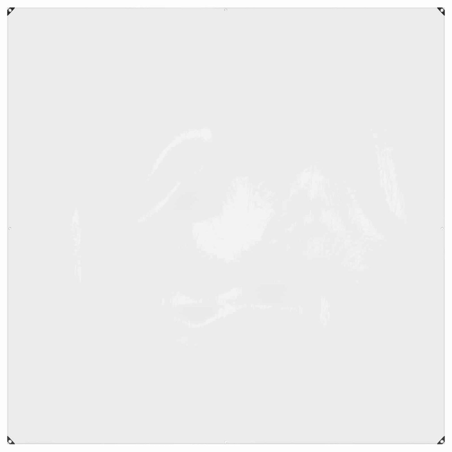 Plant Cover Transparent 2 x 2 m PVC