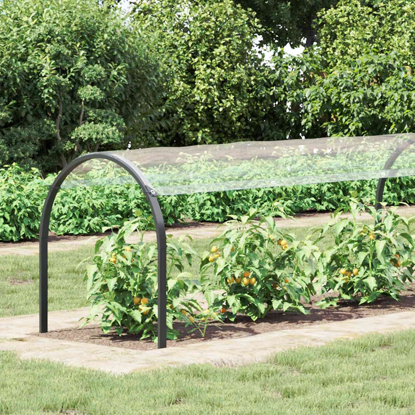 Plant Cover Transparent 20 x 1.5 m PVC