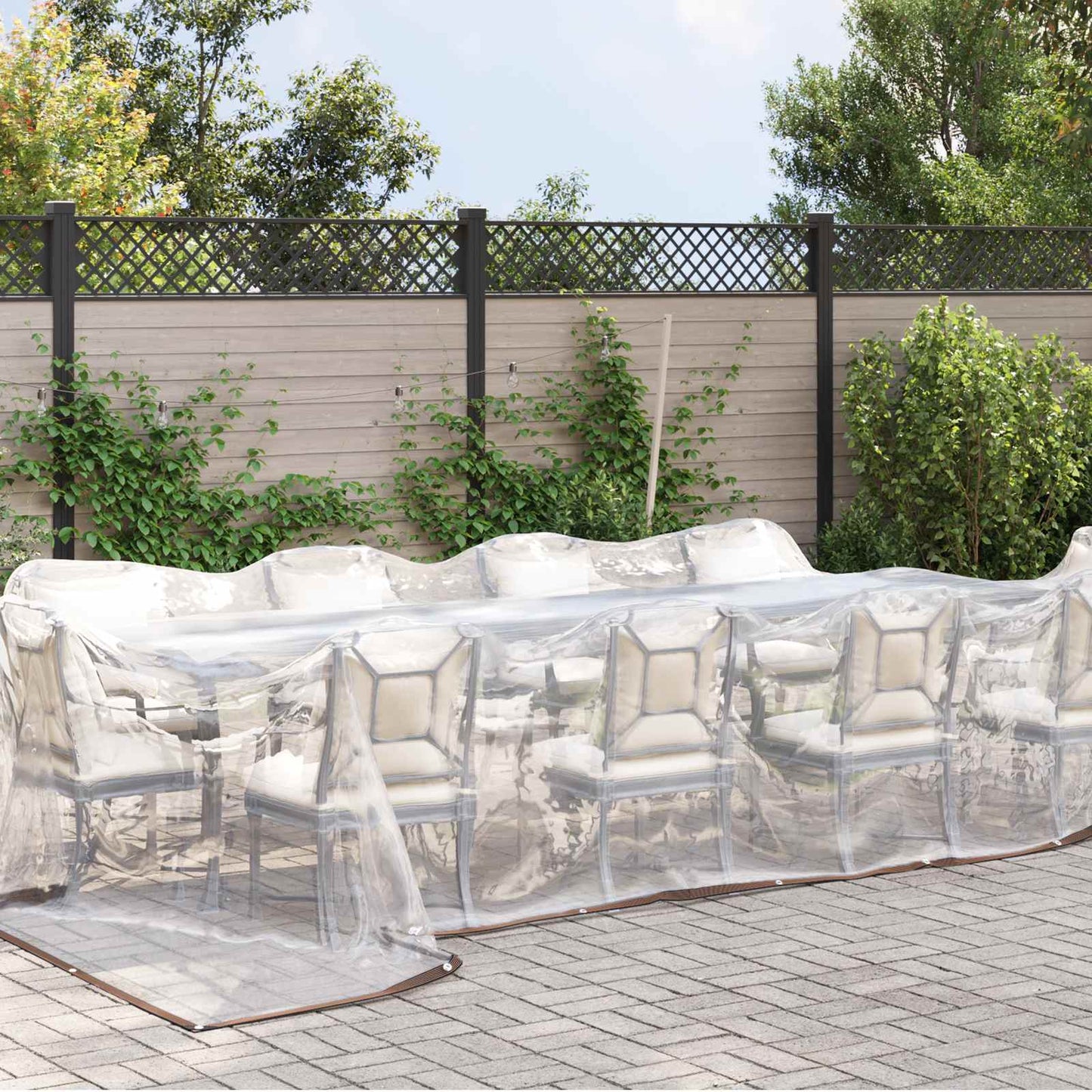Tarpaulin Transparent 7 x 5 m PE