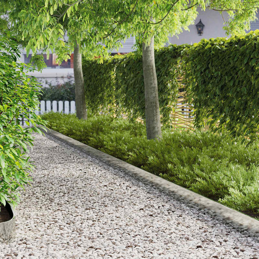 Lawn Edging 10 pcs 103 x 15 cm Steel Silver