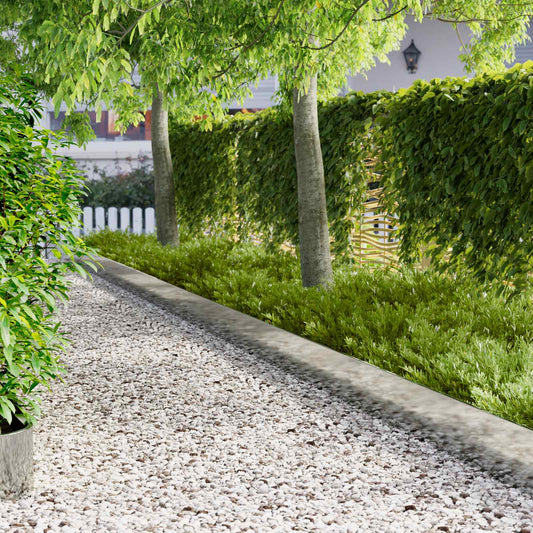 Lawn Edging 20 pcs 103 x 25 cm Steel Silver
