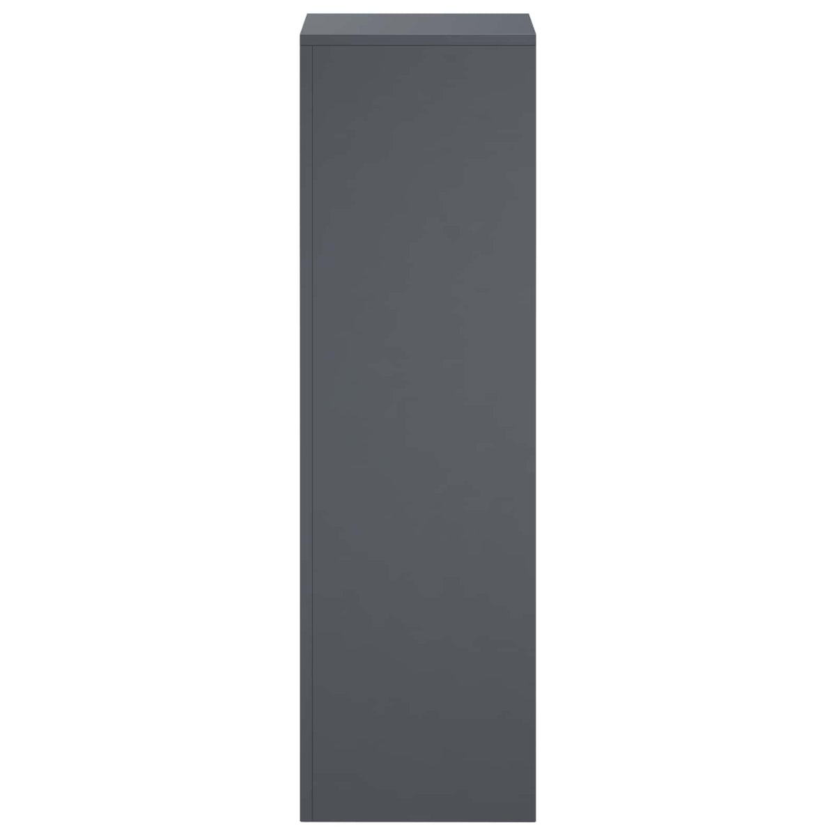 Plant Stand 2 pcs Anthracite 30 x 30 x 100 cm Galvanised Steel