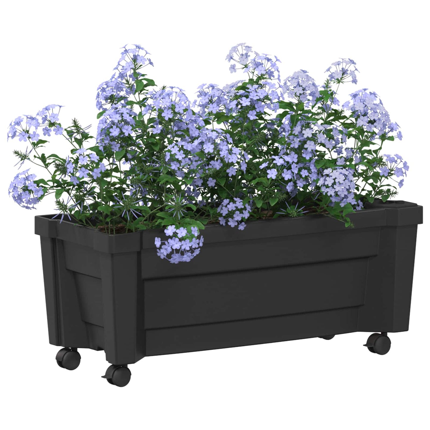 Calypso Planter with Wheels Anthracite 79 x 35 x 33 cm PP