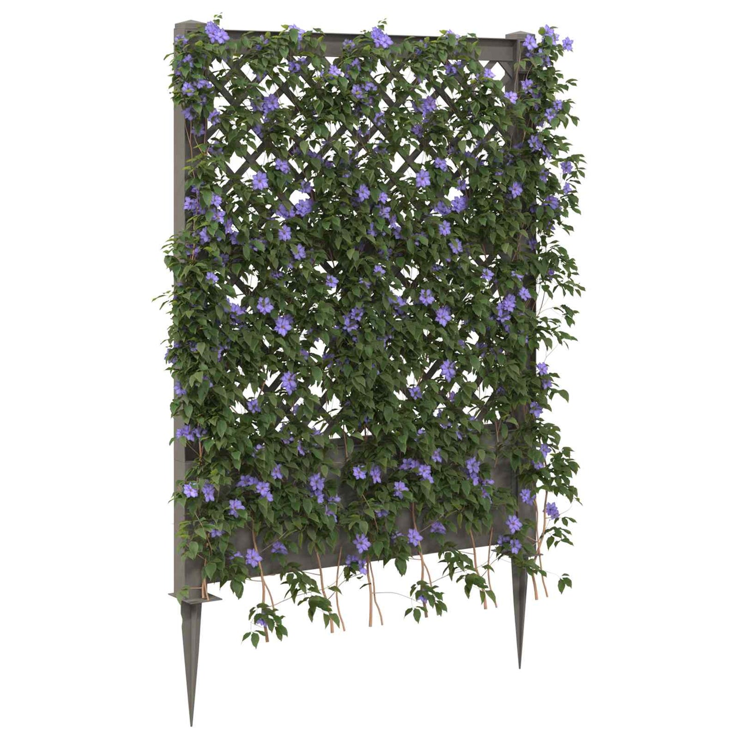 Trellis with Spike Grey 99 x 6 x 165 cm PP