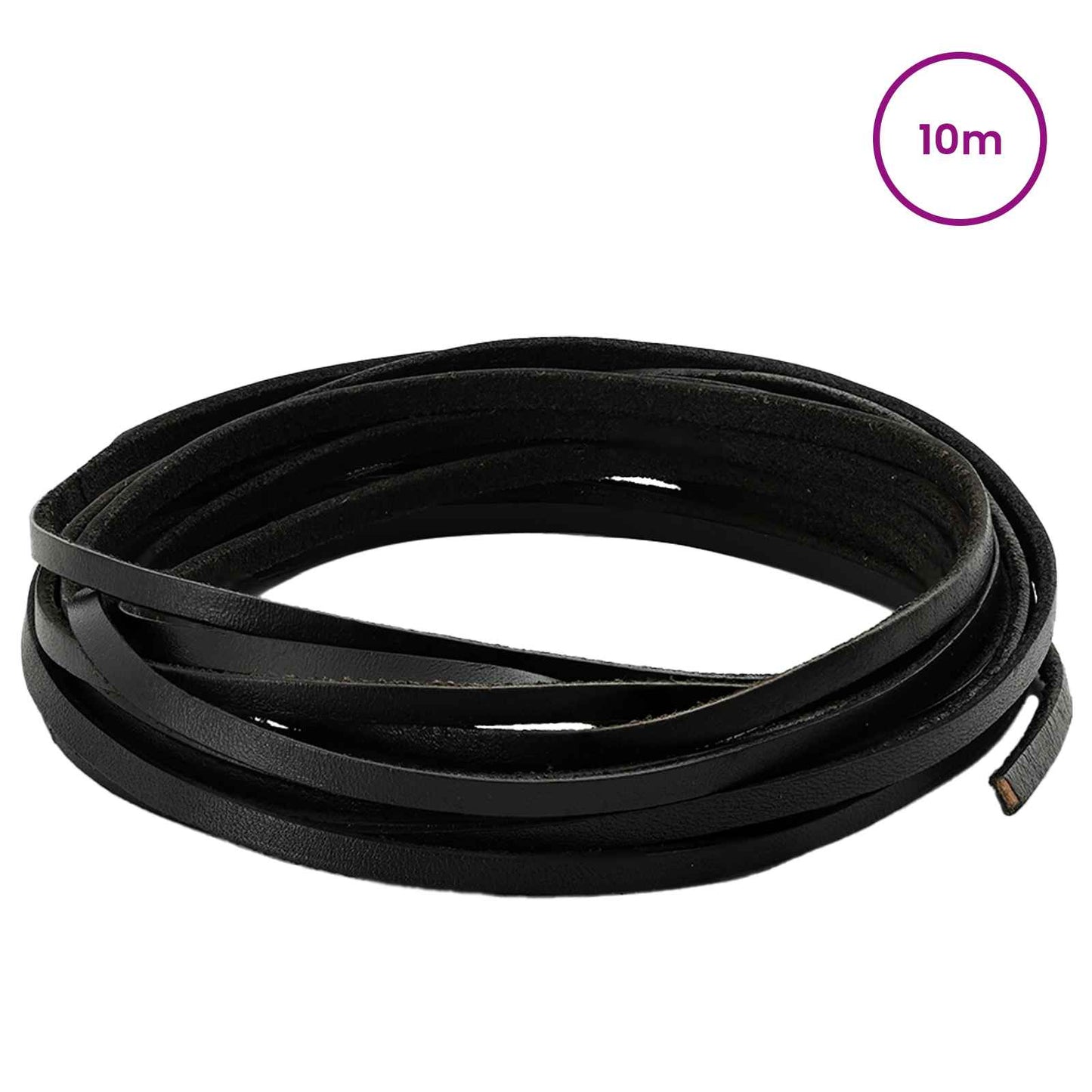 Leather Strap Black 1000 x 0.4 cm Leather