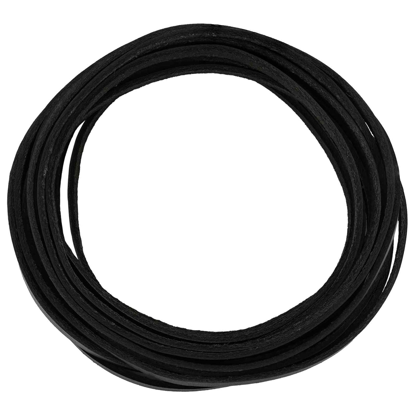 Leather Strap Black 1000 x 0.5 cm Leather