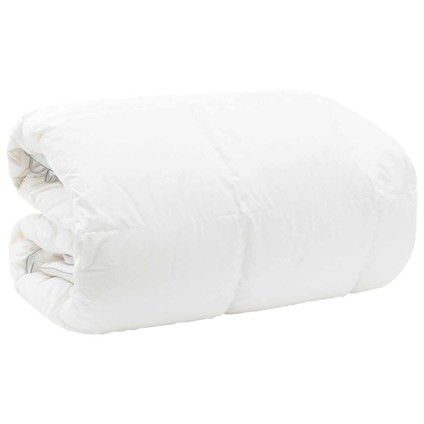 Duvet FULDA 200 x 200 cm Winter 300 GSM 90% Goose Down White